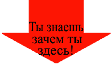 Полная информация о Курсе